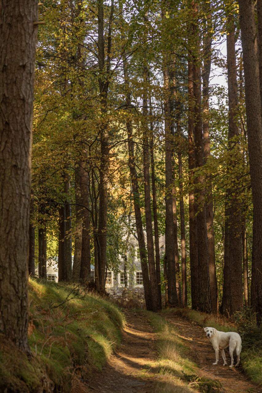 kinloch lodge wildland scotland